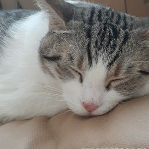 Meet your Posher, Mae